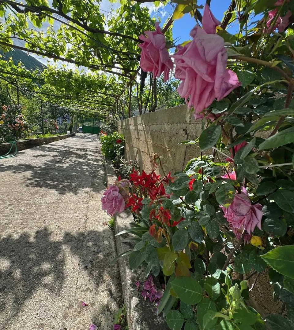 Kolonje  Bedena Houseヴィラ 0*, Kolonje (Gjirokaster)